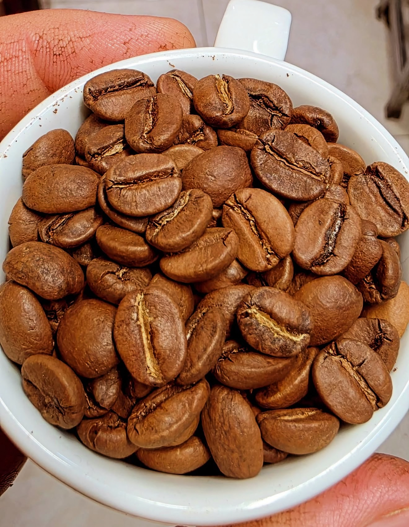 قهوه ملایم برزیل 