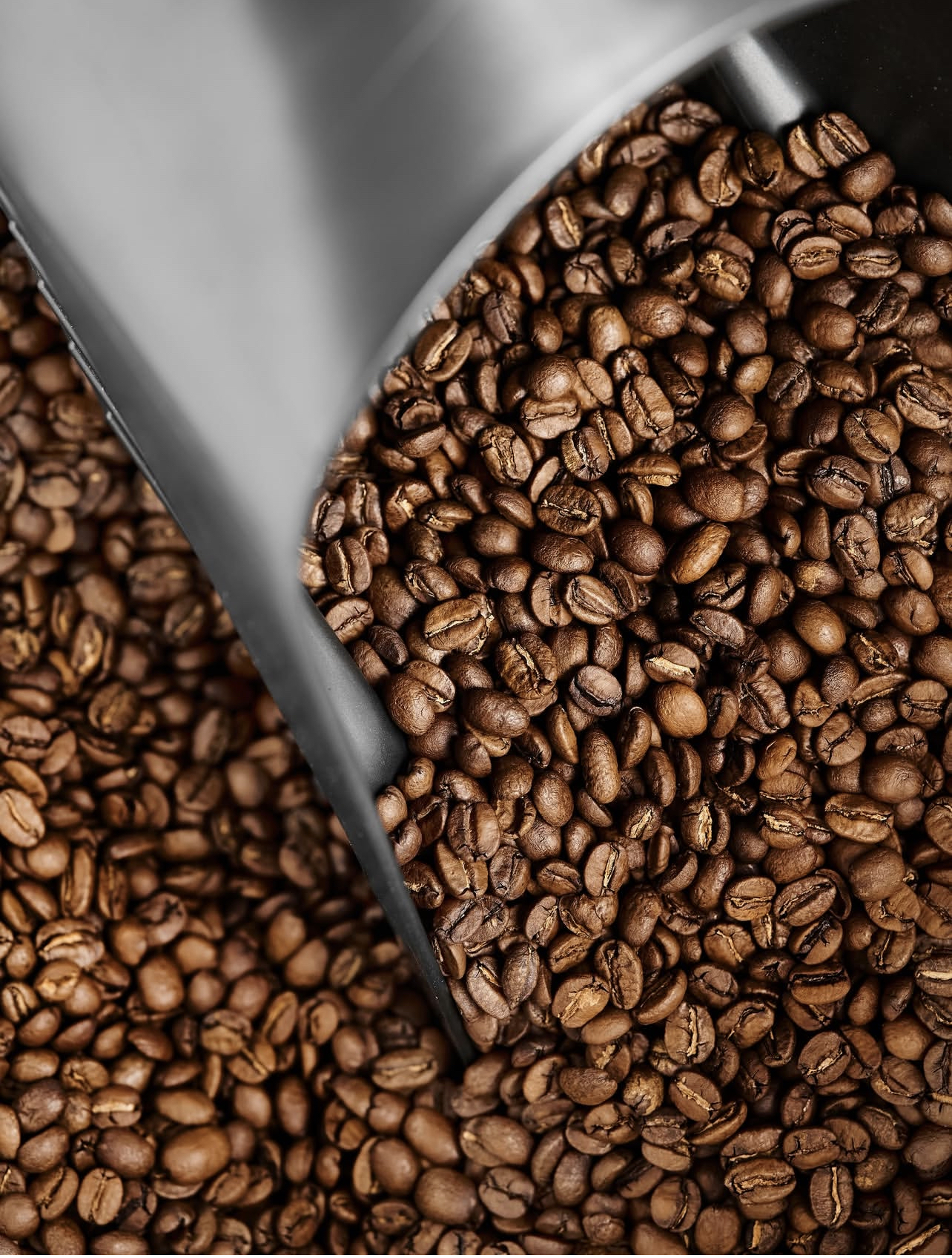 قهوه عربیکا سانتوس برزیل