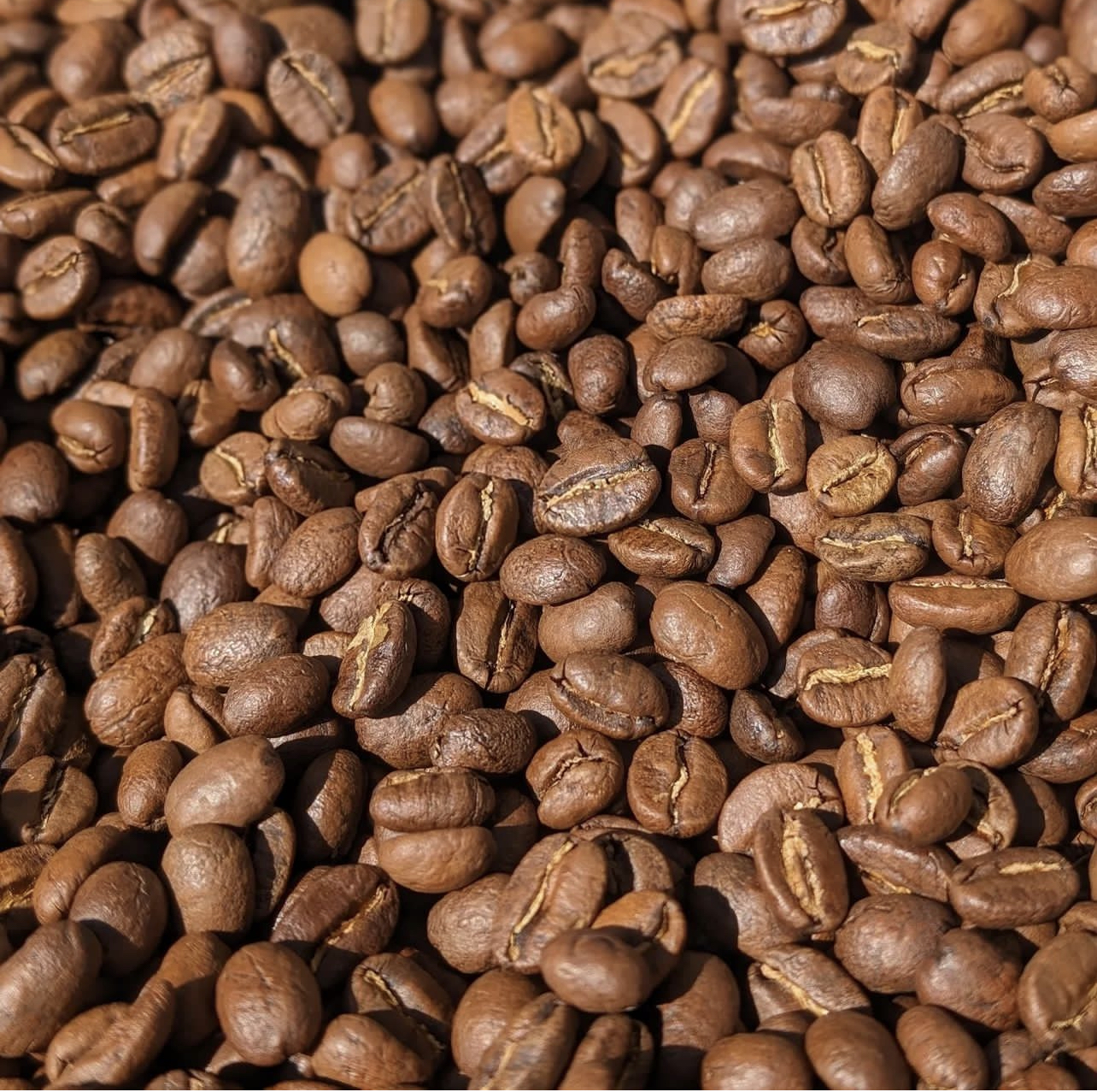 قهوه رناسیمنتو عربیکا کلمبیا